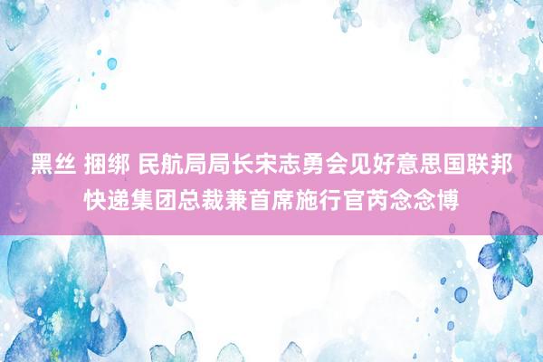 黑丝 捆绑 民航局局长宋志勇会见好意思国联邦快递集团总裁兼首席施行官芮念念博