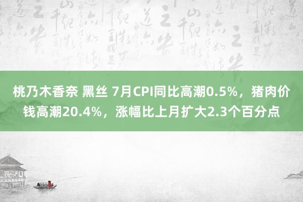 桃乃木香奈 黑丝 7月CPI同比高潮0.5%，猪肉价钱高潮20.4%，涨幅比上月扩大2.3个百分点