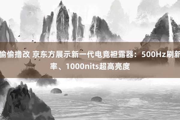 偷偷撸改 京东方展示新一代电竞袒露器：500Hz刷新率、1000nits超高亮度