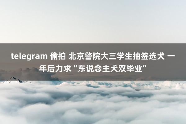 telegram 偷拍 北京警院大三学生抽签选犬 一年后力求“东说念主犬双毕业”