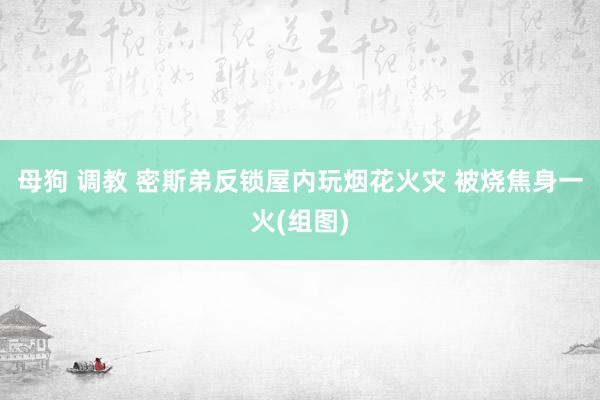 母狗 调教 密斯弟反锁屋内玩烟花火灾 被烧焦身一火(组图)