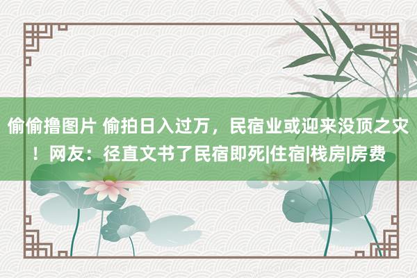 偷偷撸图片 偷拍日入过万，民宿业或迎来没顶之灾！网友：径直文书了民宿即死|住宿|栈房|房费